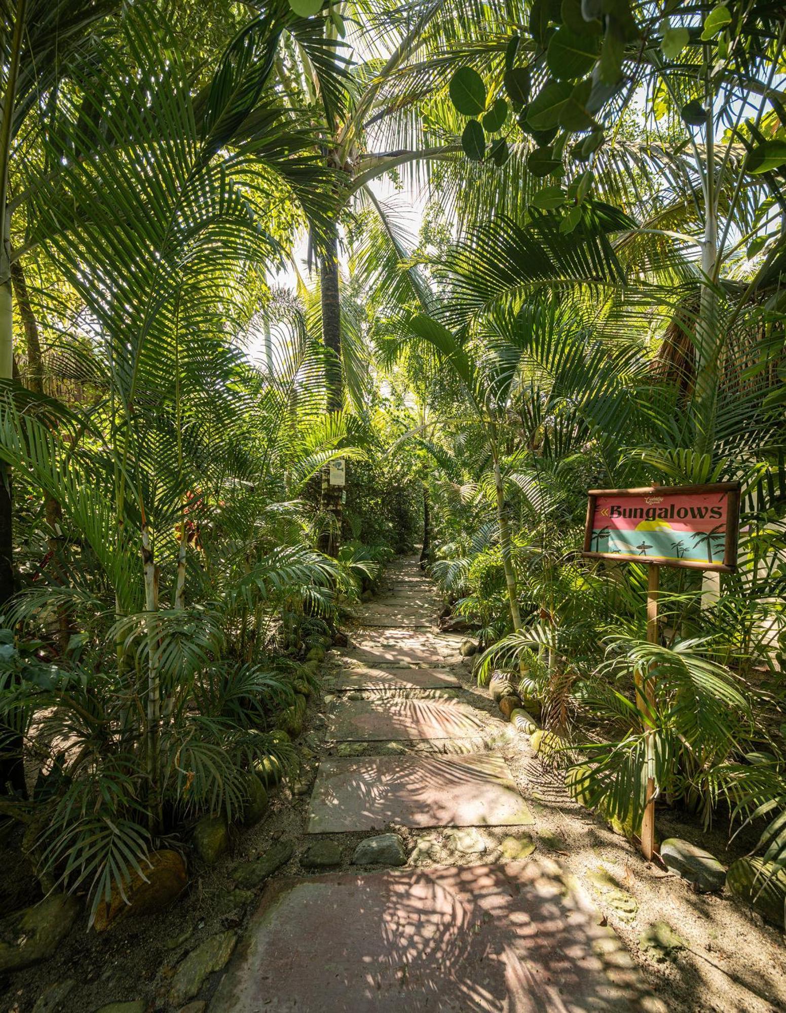 Costeno Beach Santa Marta (Magdalena) Exterior foto